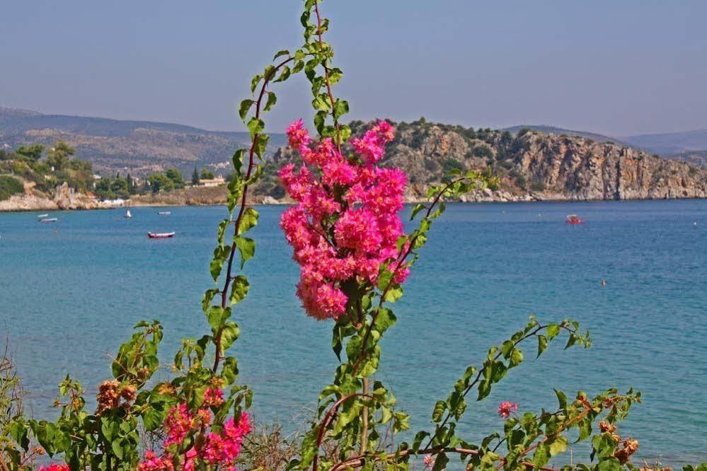 Poseidon Apartments Tolón Dış mekan fotoğraf